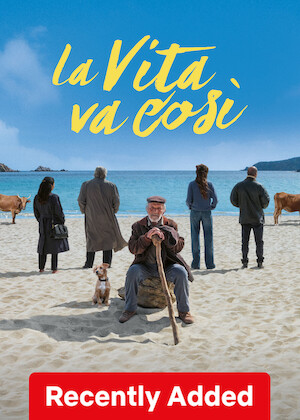 La vita va così poster